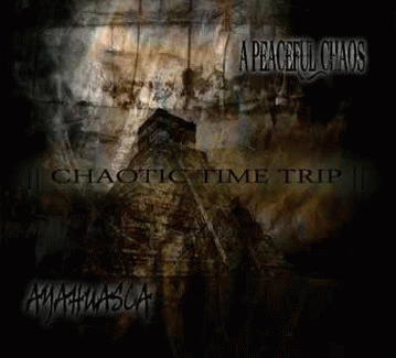 Chaotic Time Trip